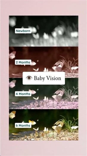 👶 Newborn vision development .#babyvisiondevelopment #bhfyp #eyecheckup #doctor #eyedoctor #eyes #ey