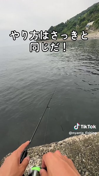 釣り初心者必見！カサゴを釣る方法