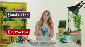 玩乐高 学知识 有关动物的有趣真相 原创中英字幕 Lego lessons Amazing Animal Facts