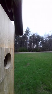 A Tufted Titmouse was checking out my new Birdfy Nest Duo bird house.. it has a camera on the inside and outside. Solar powered! Hoping a Bluebird moves in 🤞🏻🪺 Stay tuned… | Critter Cam