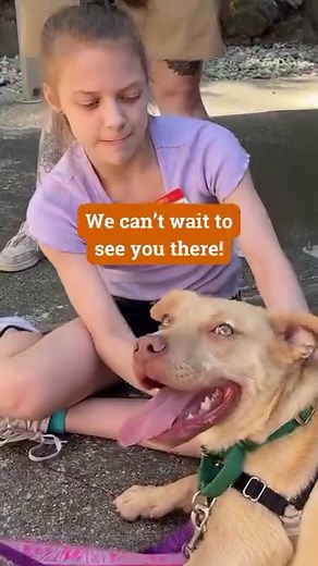 21 reactions | Join PAWS for exciting & educational Mini Camps this...