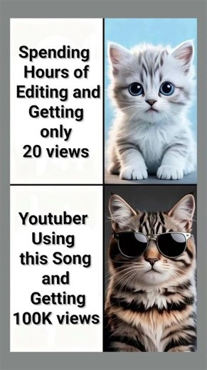 The YouTube Algorithm Be Like 😭