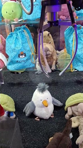 jellycat teddy elaut ex1 claw machine at majestic amusement arcade great Yarmouth 2026