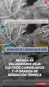 540K views · 7.7K reactions | Un manto blanco cubre los cultivos en la provincia Vallegrande, en el departamento de Santa Cruz, donde este viernes 12 de julio de 2024 la sensación térmica llegó a los 9 grados bajo cero Conoce más detalles en: https://acortar.link/TCAqFl #Sociedad #Unitel | UNITEL | Facebook