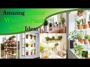 Amazing Indoor Window Plant Shelf Ideas