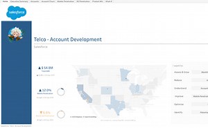 TELCO - Account Development