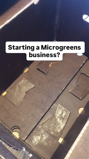 Let’s talk microgreens labels 👇 Your packaging is your silent salesperson — it tells people your greens are fresh, local, delicious, and nutritious before they even take a bite 🌱✨ 3 things your label can’t live without: 🌿 Your brand name/logo – for instant recognition 📅 Product name harvest date – because freshness builds trust 📲 Contact info or social handle – so customers can connect & come back for more ✨ Bonus tip: Use words that convey value — like fresh, local, delicious, and nutritio