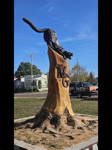Watch a standing tree become a powerful panther sculpture, carved entirely with a chainsaw from start to finish. In this full transformation video, you’ll see every stage of the process: blocking out the form, shaping the muscles, refining the details, and bringing the panther’s stance to life. I’m Jason Morton, owner of Eagle Ridge Chainsaw Carvings in Strafford, Missouri. I specialize in turning logs, stumps, and trees into custom carvings that feel alive. Whether you’re a fellow carver, a woo