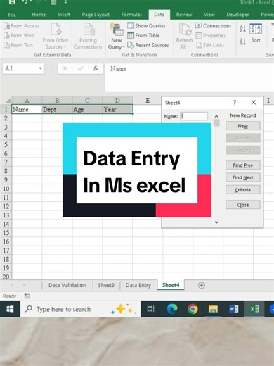 Mastering Data Entry in MS Excel
