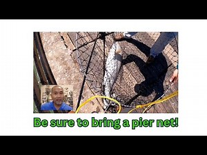 Don't Lose Big Fish, Make Sure You Have a Pier Net! #fishing #tips #fishingtips