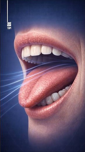How The Human Voice is Born?