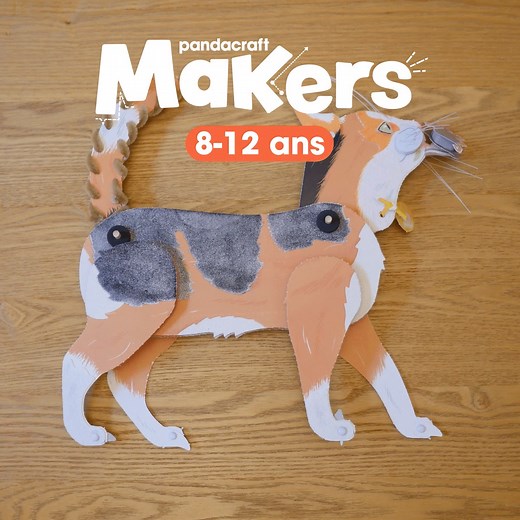 [Makers – 8/12 ans] Ce mois-ci, cap sur le monde fascinant… du chat ! 🐾 À construire : une maquette articulée avec pattes, oreilles, queue, et même des griffes rétractables ! Dans le noir, ses yeux et vibrisses s’illuminent pour révéler son instinct de chasseur 😼🌙 Un kit pour découvrir les secrets de cet animal pas si domestique que ça… 👀 ➡️ Découvrez notre abonnement Makers ici : https://www.pandacraft.fr/abonnement-8-12-ans/ #Pandacraft #abonnement #Makers #activitesmanuelles #chat #kitsed