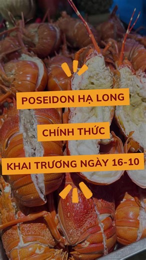 🔥 POSEIDON HẠ LONG KHAI TRƯƠNG 16/10: TẶNG TÔM HÙM CỰC CHẤT! 🦞 🔥 Duy nhất trong 3 ngày (16/10 - 18/10): Mỗi khách hàng đến Poseidon Hạ Long đều được tặng ngay 1 suất Tôm hùm hấp (½ CON) thịt ngọt đậm đà, thơm lừng bốc khói! Gần 9 năm phát triển với hơn 20 chi nhánh trên toàn quốc, nhưng Hạ Long vẫn là nơi thử thách lòng dũng cảm nhất của Poseidon. Là vựa hải sản lớn với những thực khách cực kỳ sành ăn, Hạ Long đòi hỏi bất kỳ thương hiệu nào khi đặt chân đến cũng phải chuẩn bị chỉn chu và tâm 