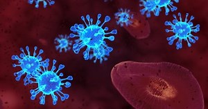 Coronavirus cells. Animation group of viruses that cause respiratory infections. 3D rendering loop 4k