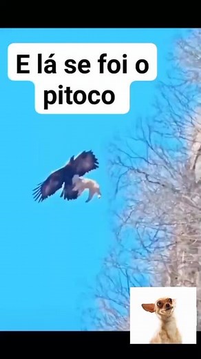 funnytodayalways no TikTok