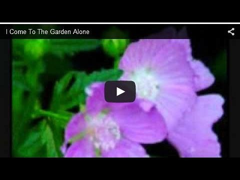 I Come To The Garden Alone