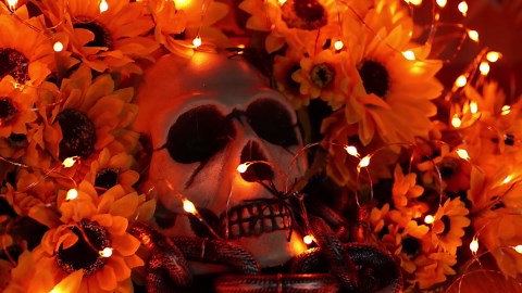 Joomer Orange Halloween Fairy Lights, 2-Pack 16.4FT 50LED Battery String Lights, 8 Modes with Timer Function, Waterproof Twinkle String Light for Indoor Outdoor Halloween Decoration