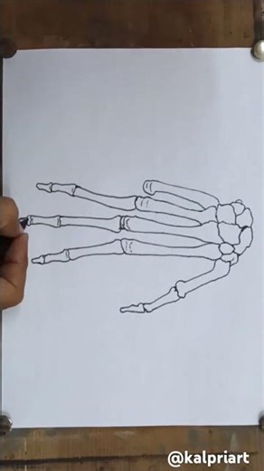 Hand Bones Diagram