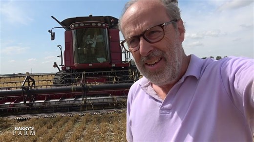 Barley Harvest with Unexpected Problems