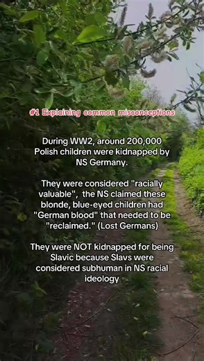 Disclaimer: The following content is presented solely for educational and historical documentation purposes. It describes NS racial policies and crimes against humanity to ensure accurate understanding of this period in history. #ww2 #worldwar2 #historymagician #viral #goviral