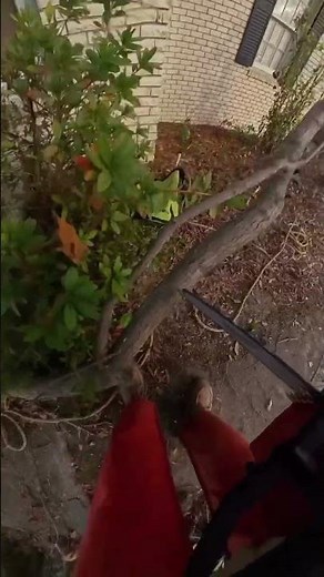 M18 FUEL™ Top Handle Chainsaw | 2826 Video Credit: @builtby_n8