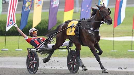 Jiggy Jog Just Jogs In 2024 International Trot