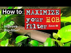 How to : 💪Maximize 💪your HOB filter🌿🐟