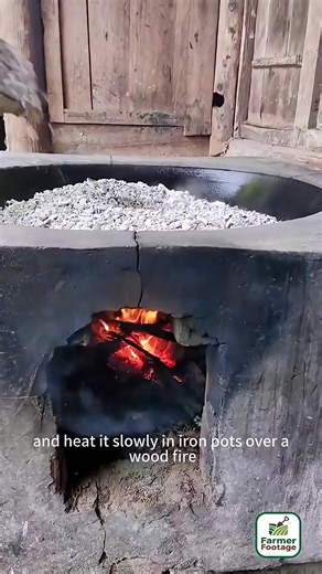 Farmers use ancient technique of extracting wax using insects | Vibes & Verses | Facebook