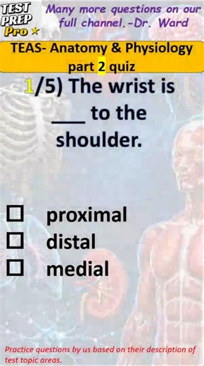 🧠 ATI TEAS 7 Anatomy & Physiology Practice Questions part 2 of 5 | Pass the TEAS Exam! 🩺 #anatomy