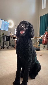 3K views · 316 reactions | Just finished recording Erhu for “Try to Remember” - the end credits song for an upcoming film for Culture Club co-founder and co-writer Roy Hay and executive producer Nico Golfar​  Erhu: Unknown Chinese Brand (like me! 藍) Microphone: sE Electronics​ RNT Dress: ZhenNymph | Tina Guo | Facebook