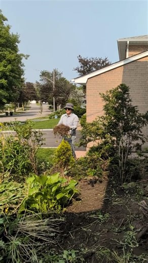 Oddly Satisfying Weed Roots Removal | Peeling a Carpet of Roots