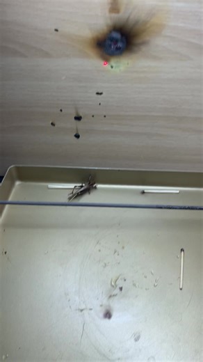 Exploring the Power of Laser Cannons