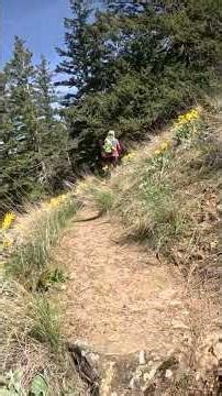 Sunnybrae Bluffs Hike #hiking #youtubeshorts #rambleon #kamloopstrails #outdoors #shuswap