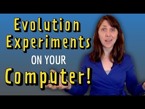 Avida-ED: Evolution Experiments on your Computer!