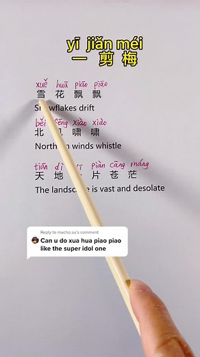 Learn Another Popular Chinese Song: Yi Jian Mei / Xue Hua Piao Piao