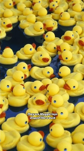 What exactly is a function of a rubber duck? Harry Potter