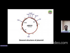 Lec 22 - ABT 301 Types of Vectors.