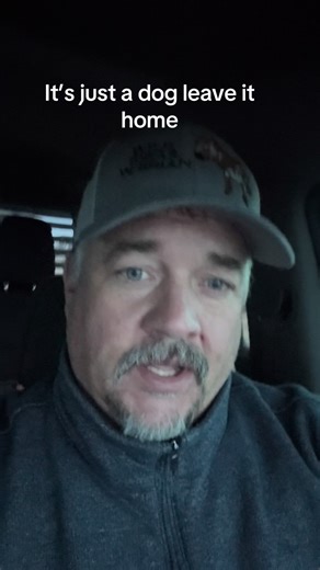 Hilarious Dachshund Moments: Dad Humor with Furbabies