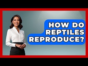 How Do Reptiles Reproduce? | Reptilian Wonders