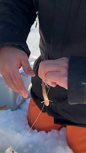 Toothy fish caught through the ice | Tackle2thePeople