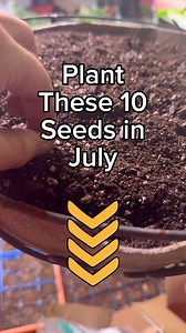135 reactions · 11 shares |  What to Plant in July: Quick-Growing...
