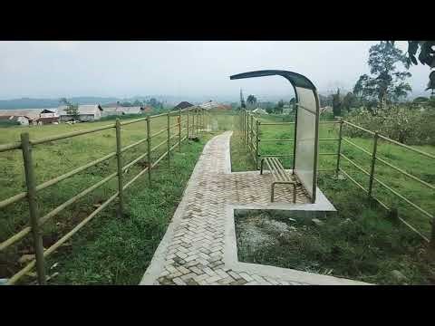 "Hyundai Getz" Menikmati Suasana Peternakan Sapi Perah di Baturaden.