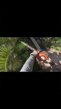 Cortando ciprés en altura como un pro 💪🌿 (POV) #pov