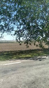 21K views · 314 reactions | Analogic cu cimpurile din Găgăuzia r-ul Fălești satul Sarata-Noua... | Api Alexenergy | Facebook