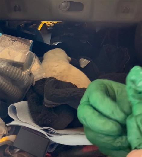 12K views · 94 reactions | Seneca Shaganappi on Reels | Facebook