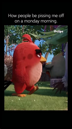 CLIPS on Instagram: "🐷 Interesting fact: The Angry Birds Movie (2016) — The filmmakers made a bold choice to give the birds arms and legs for the movie, a major departure from the limb-less designs in the original mobile games. This was done to allow the characters to have a wider range of physical comedy and emotional expression. The voice cast is packed with comedy legends, including Bill Hader as Leonard the King Pig. Hader reportedly based the pig’s distinct, slightly pompous voice on a mix