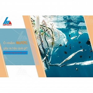 Ô nhiễm nước gây ra những hậu quả gì?