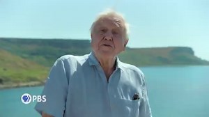 13 reactions | Follow Sir David Attenborough and a team of forensic experts as they unearth the fossil of a giant Pliosaur, the largest Jurassic predator ever known. Nature | PBS "Attenborough and the Jurassic Sea Monster" airs tonight at 8 p.m. | Georgia Public Broadcasting | Facebook