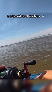 AH PERO NO SALTAN. | Santiago Meyer