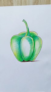 11K views · 143 reactions | How to draw a capsicum step by step #reels #art #drawing | Priyanka creative guru | Facebook